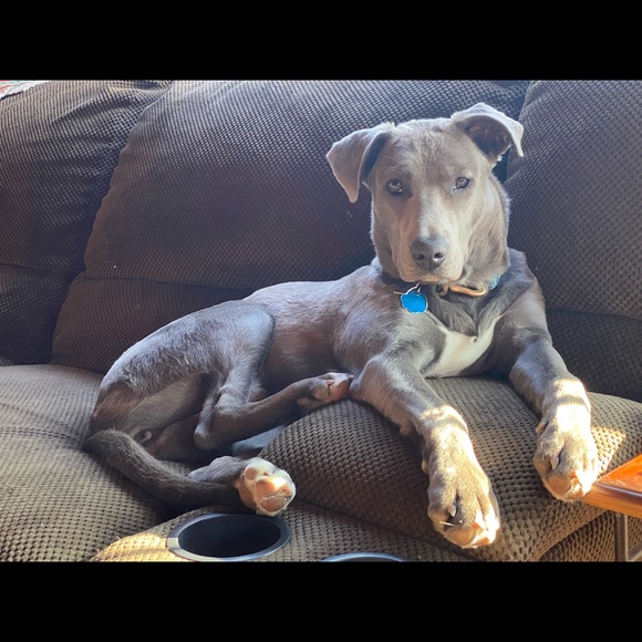 Meet your Posher, Beth - Picture 4 of 14